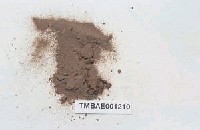 藏品(長朔苔屬)的圖片